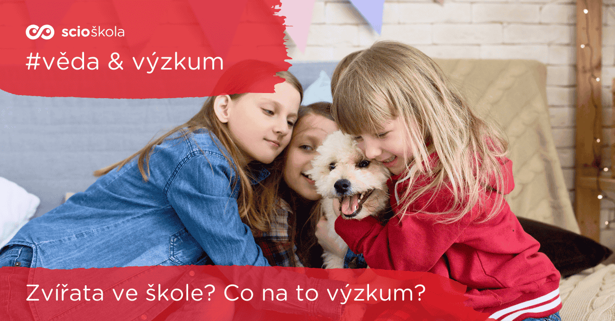 Blog Sablona Barevna (3)